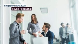 National University of Singapore NUS Young Fellowship 2025